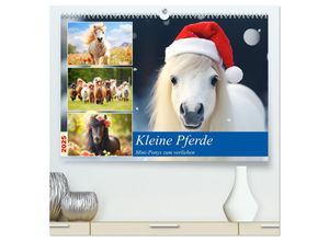 9783435013340 - Kleine Pferde Mini-Ponys zum verlieben (hochwertiger Premium Wandkalender 2025 DIN A2 quer) Kunstdruck in Hochglanz