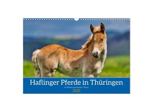 9783435013418 - Haflinger Pferde in Thüringen (Wandkalender 2025 DIN A3 quer) CALVENDO Monatskalender