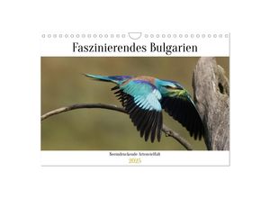 9783435013463 - Faszinierendes Bulgarien (Wandkalender 2025 DIN A4 quer) CALVENDO Monatskalender