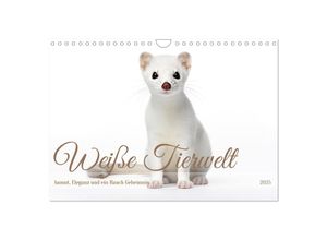 9783435013739 - Weiße Tierwelt (Wandkalender 2025 DIN A4 quer) CALVENDO Monatskalender