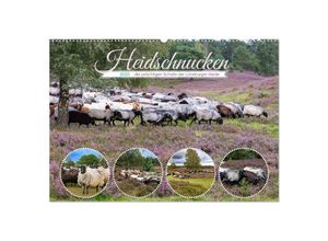 9783435014378 - Heidschnucken die prächtigen Schafe der Lüneburger Heide (Wandkalender 2025 DIN A2 quer) CALVENDO Monatskalender