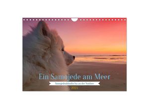 9783435014439 - Ein Samojede am Meer (Wandkalender 2025 DIN A4 quer) CALVENDO Monatskalender