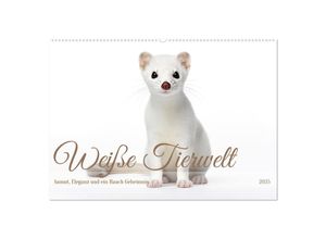 9783435015542 - Weiße Tierwelt (Wandkalender 2025 DIN A2 quer) CALVENDO Monatskalender