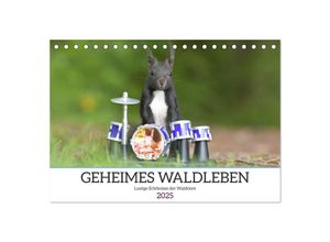 9783435015986 - Geheimes Waldleben (Tischkalender 2025 DIN A5 quer) CALVENDO Monatskalender