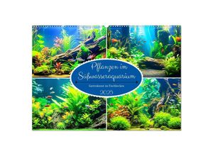 9783435016716 - Pflanzen im Süßwasseraquarium Gartenkunst im Fischbecken (Wandkalender 2025 DIN A2 quer) CALVENDO Monatskalender