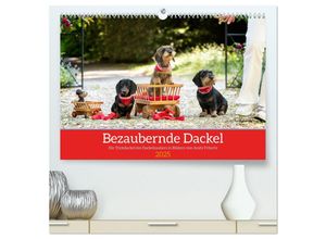 9783435016785 - Bezaubernde Dackel (hochwertiger Premium Wandkalender 2025 DIN A2 quer) Kunstdruck in Hochglanz