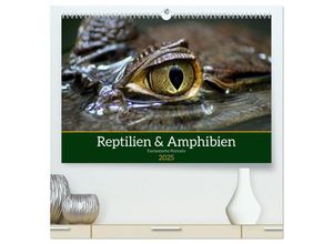 9783435017287 - Reptilien & Amphibien Portraits (hochwertiger Premium Wandkalender 2025 DIN A2 quer) Kunstdruck in Hochglanz