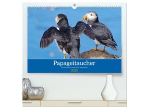 9783435017607 - Papageitaucher - Clowns der nordischen Vogelwelt (hochwertiger Premium Wandkalender 2025 DIN A2 quer) Kunstdruck in Hochglanz