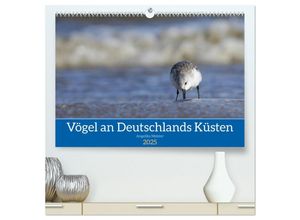 9783435017706 - Vögel an Deutschlands Küsten (hochwertiger Premium Wandkalender 2025 DIN A2 quer) Kunstdruck in Hochglanz