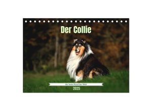 9783435017751 - Der Collie der beste Hund der Welt (Tischkalender 2025 DIN A5 quer) CALVENDO Monatskalender