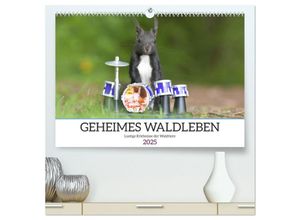 9783435017935 - Geheimes Waldleben (hochwertiger Premium Wandkalender 2025 DIN A2 quer) Kunstdruck in Hochglanz