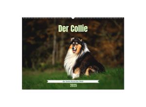 9783435018017 - Der Collie der beste Hund der Welt (Wandkalender 2025 DIN A2 quer) CALVENDO Monatskalender