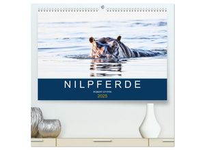 9783435018079 - Nilpferde Kolosse in Afrika (hochwertiger Premium Wandkalender 2025 DIN A2 quer) Kunstdruck in Hochglanz