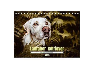 9783435018239 - Verzauberung Labrador Retriever 2025 (Tischkalender 2025 DIN A5 quer) CALVENDO Monatskalender