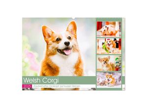 9783435019076 - Welsh Corgi Zauberhafter Dickkopf auf kurzen Beinen (Wandkalender 2025 DIN A2 quer) CALVENDO Monatskalender