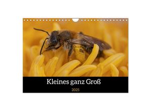 9783435019175 - Kleines ganz Groß (Wandkalender 2025 DIN A4 quer) CALVENDO Monatskalender