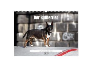 9783435019212 - Der Bullterrier der beste Hund der Welt (Wandkalender 2025 DIN A3 quer) CALVENDO Monatskalender