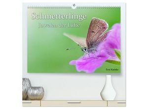 9783435019298 - Schmetterlinge - Juwelen der Lüfte (hochwertiger Premium Wandkalender 2025 DIN A2 quer) Kunstdruck in Hochglanz