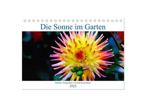 9783435019519 - Die Sonne im Garten - Dahlien fotografiert von Ralf Kretschmer (Tischkalender 2025 DIN A5 quer) CALVENDO Monatskalender