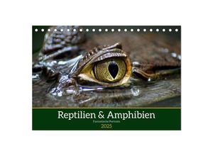 9783435019977 - Reptilien & Amphibien Portraits (Tischkalender 2025 DIN A5 quer) CALVENDO Monatskalender