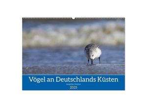 9783435020027 - Vögel an Deutschlands Küsten (Wandkalender 2025 DIN A2 quer) CALVENDO Monatskalender