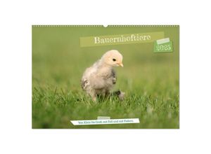 9783435020034 - Bauernhoftiere - Von Klein bis Groß mit Fell und mit Federn (Wandkalender 2025 DIN A2 quer) CALVENDO Monatskalender