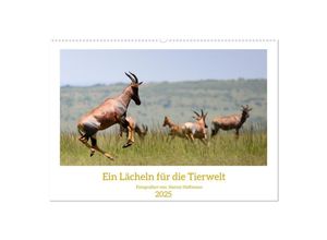 9783435020041 - Ein Lächeln für die Tierwelt (Wandkalender 2025 DIN A2 quer) CALVENDO Monatskalender