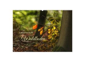 9783435020089 - Lebensraum Waldboden (Wandkalender 2025 DIN A2 quer) CALVENDO Monatskalender