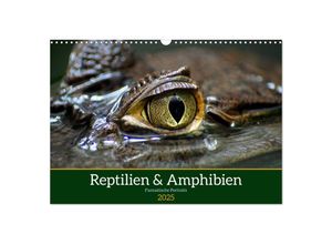 9783435020270 - Reptilien & Amphibien Portraits (Wandkalender 2025 DIN A3 quer) CALVENDO Monatskalender