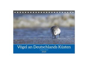 9783435020423 - Vögel an Deutschlands Küsten (Tischkalender 2025 DIN A5 quer) CALVENDO Monatskalender