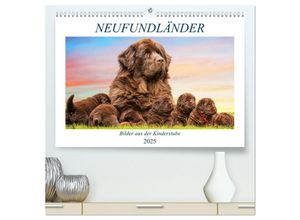 9783435021307 - Neufundländer - Bilder aus der Kinderstube (hochwertiger Premium Wandkalender 2025 DIN A2 quer) Kunstdruck in Hochglanz