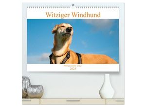 9783435021529 - Witziger Windhund - Portugiesischer Galgo (hochwertiger Premium Wandkalender 2025 DIN A2 quer) Kunstdruck in Hochglanz