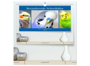 9783435022014 - Bezaubernde Schreihälse Wellen- und Nymphensittiche (hochwertiger Premium Wandkalender 2025 DIN A2 quer) Kunstdruck in Hochglanz