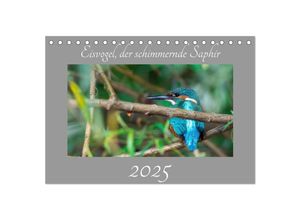 9783435022175 - Eisvogel der schimmernde Saphir (Tischkalender 2025 DIN A5 quer) CALVENDO Monatskalender