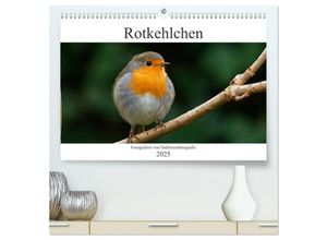 9783435022267 - Rotkehlchen - Fotografiert von Ostfriesenfotografie (hochwertiger Premium Wandkalender 2025 DIN A2 quer) Kunstdruck in Hochglanz