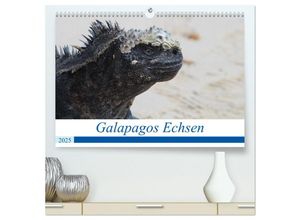 9783435023066 - Galapagos Echsen (hochwertiger Premium Wandkalender 2025 DIN A2 quer) Kunstdruck in Hochglanz