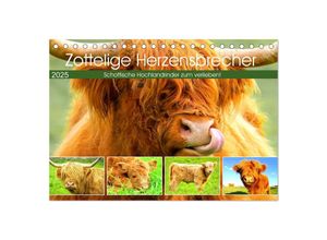 9783435023349 - Zottelige Herzensbrecher Schottische Hochlandrinder zum Verlieben (Tischkalender 2025 DIN A5 quer) CALVENDO Monatskalender