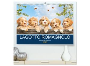 9783435023493 - Lagotto Romagnolo - Bilder aus der Kinderstube (hochwertiger Premium Wandkalender 2025 DIN A2 quer) Kunstdruck in Hochglanz