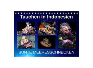 9783435023769 - Tauchen in Indonesien - BUNTE MEERESSCHNECKEN (Tischkalender 2025 DIN A5 quer) CALVENDO Monatskalender