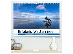 9783435023882 - Erlebnis Wattenmeer (hochwertiger Premium Wandkalender 2025 DIN A2 quer) Kunstdruck in Hochglanz