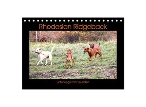 9783435024209 - Rhodesian Ridgeback unterwegs mit Freunden (Tischkalender 2025 DIN A5 quer) CALVENDO Monatskalender