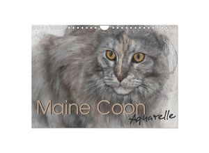 9783435024506 - Maine Coon Aquarelle (Wandkalender 2025 DIN A4 quer) CALVENDO Monatskalender