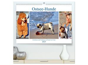 9783435024520 - Ostsee-Hunde - Zweibeiner und Vierbeiner am Strand von Cranz (hochwertiger Premium Wandkalender 2025 DIN A2 quer) Kunstdruck in Hochglanz