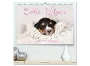 9783435024759 - Collie Welpen einfach zuckersüß (hochwertiger Premium Wandkalender 2025 DIN A2 quer) Kunstdruck in Hochglanz