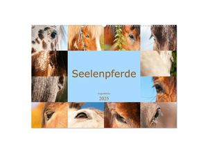 9783435024834 - Seelenpferde - Augenblicke (Wandkalender 2025 DIN A2 quer) CALVENDO Monatskalender