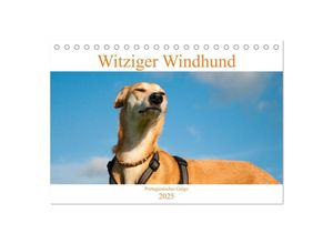 9783435024865 - Witziger Windhund - Portugiesischer Galgo (Tischkalender 2025 DIN A5 quer) CALVENDO Monatskalender