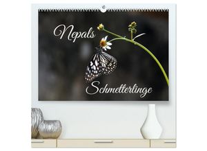 9783435025213 - Nepals Schmetterlinge (hochwertiger Premium Wandkalender 2025 DIN A2 quer) Kunstdruck in Hochglanz