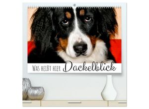 9783435025381 - Was heißt hier Dackelblick (hochwertiger Premium Wandkalender 2025 DIN A2 quer) Kunstdruck in Hochglanz