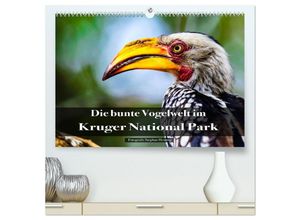 9783435025534 - Die bunte Vogelwelt im Kruger National Park (hochwertiger Premium Wandkalender 2025 DIN A2 quer) Kunstdruck in Hochglanz