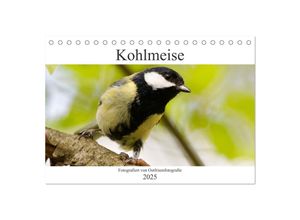 9783435026296 - Kohlmeise - Fotografiert von Ostfriesenfotografie (Tischkalender 2025 DIN A5 quer) CALVENDO Monatskalender